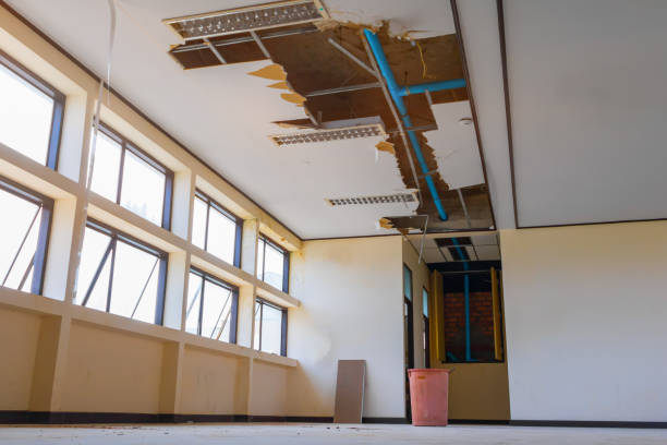 Best 24/7 water damage repair  in North Barrington, IL