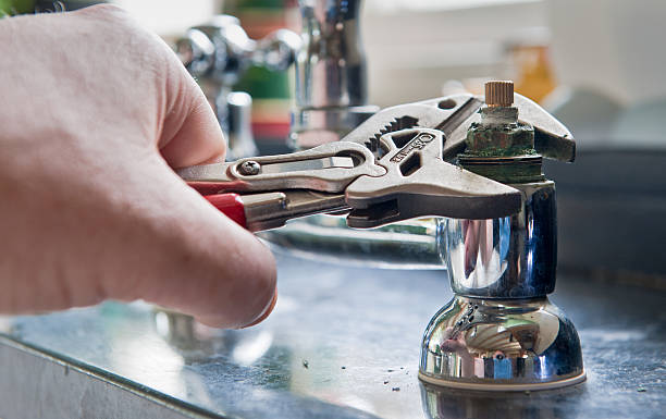 Best Mold removal after water damage  in North Barrington, IL