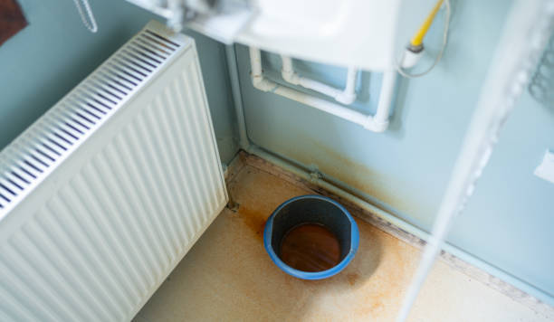Best Water damage restoration near me  in North Barrington, IL