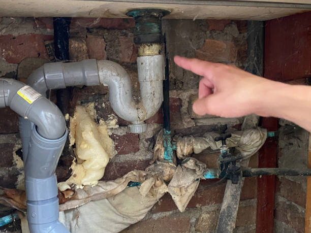 Best Water damage restoration near me  in North Barrington, IL