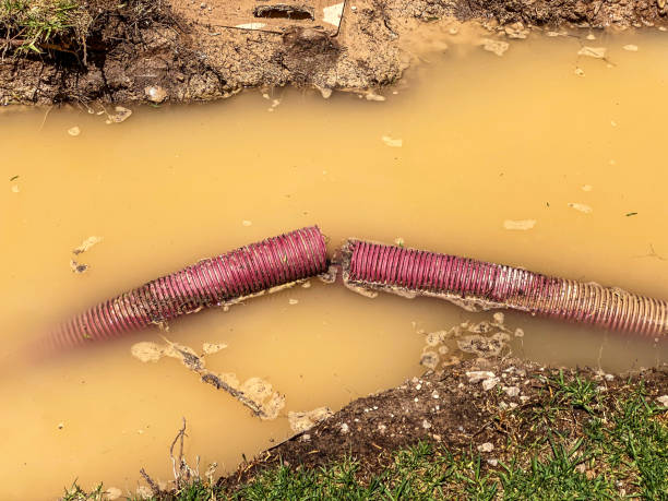 Best Flood damage cleanup  in North Barrington, IL