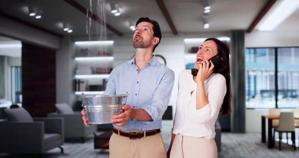 Best Water damage cleanup near me  in North Barrington, IL